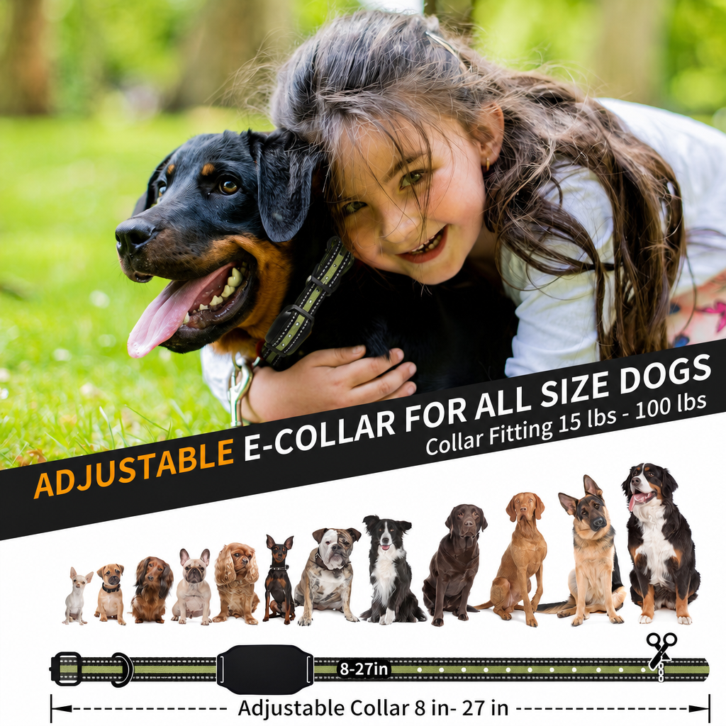 Adjustable PD512 dog training collar strap