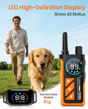 PD511 remote and receiver color displays