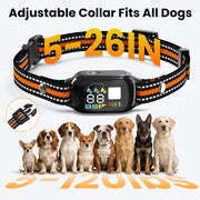 2-in-1 Anti-Bark Dog Training Collar with Remote