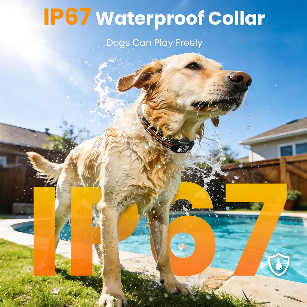 2-in-1 Anti-Bark Dog Training Collar with Remote
