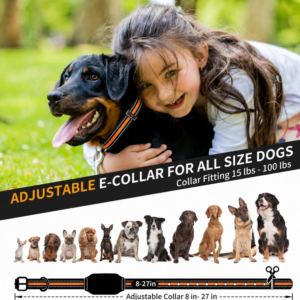 Adjustable PD512 dog training collar strap