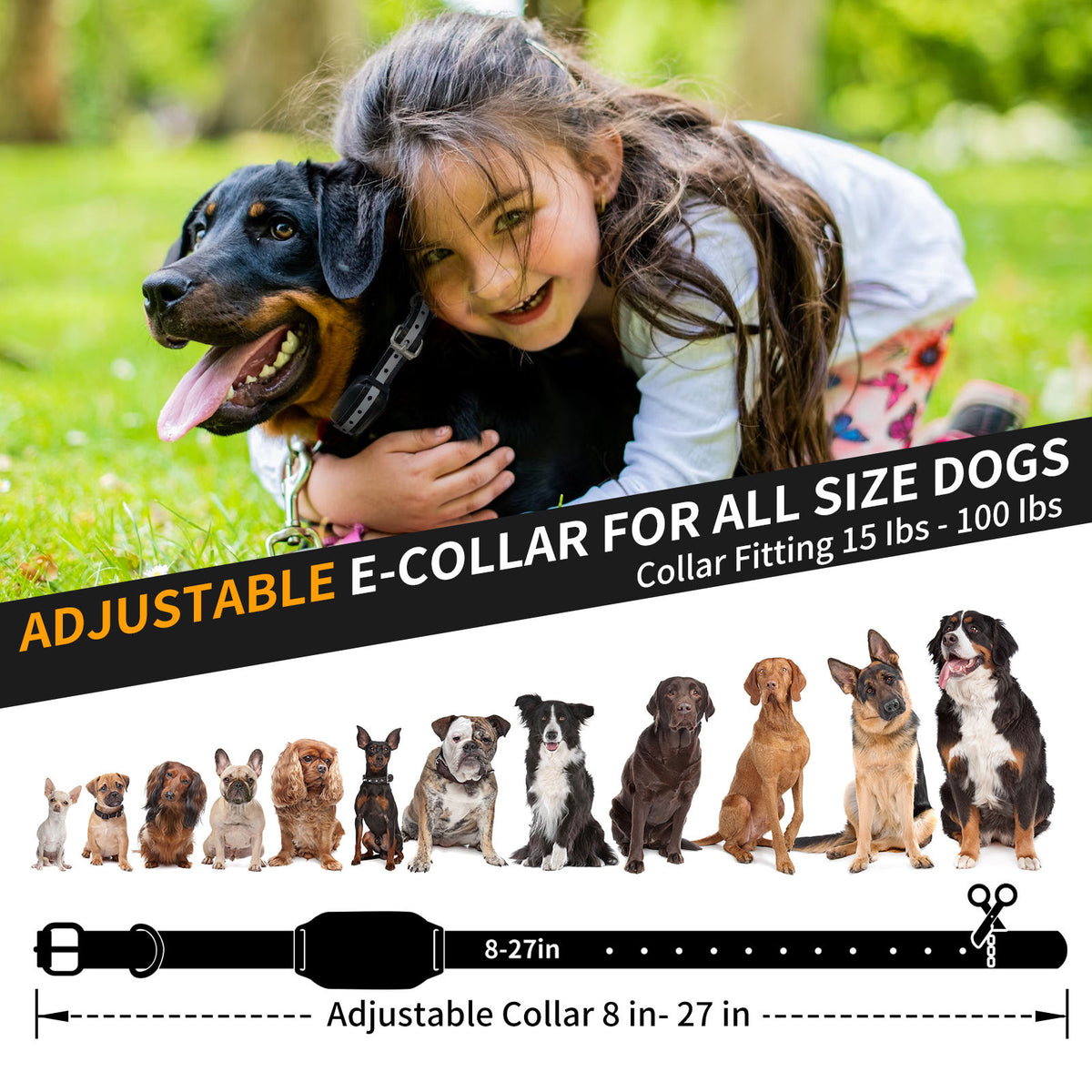 2-in-1 Anti-Bark Dog Training Collar with Remote
