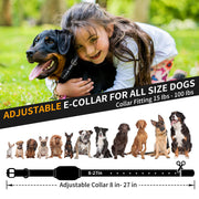 2-in-1 Anti-Bark Dog Training Collar with Remote