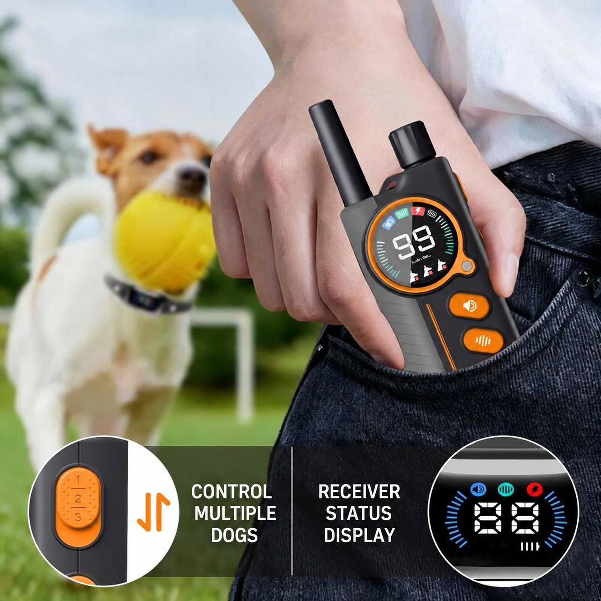 PD512 multi-dog remote channel display