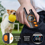 PD512 multi-dog remote channel display
