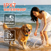 PD523 IPX7 waterproof training collar receiver