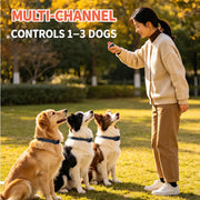 PD523 multi-dog remote channel control
