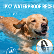 PD512 IPX7 waterproof dog training collar