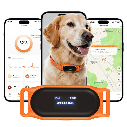 Ywinspire 4G pet tracker with electronic nameplate main image