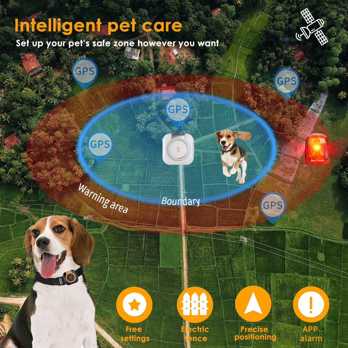 Ywinspire clip-on pet tracker activity sleep and calorie insights