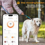 Ywinspire clip-on pet tracker magnetic fast charging
