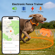 Electronic fence trainer sound vibration and static stimulation