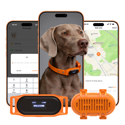 4G GPS dog tracker and app tracking screens