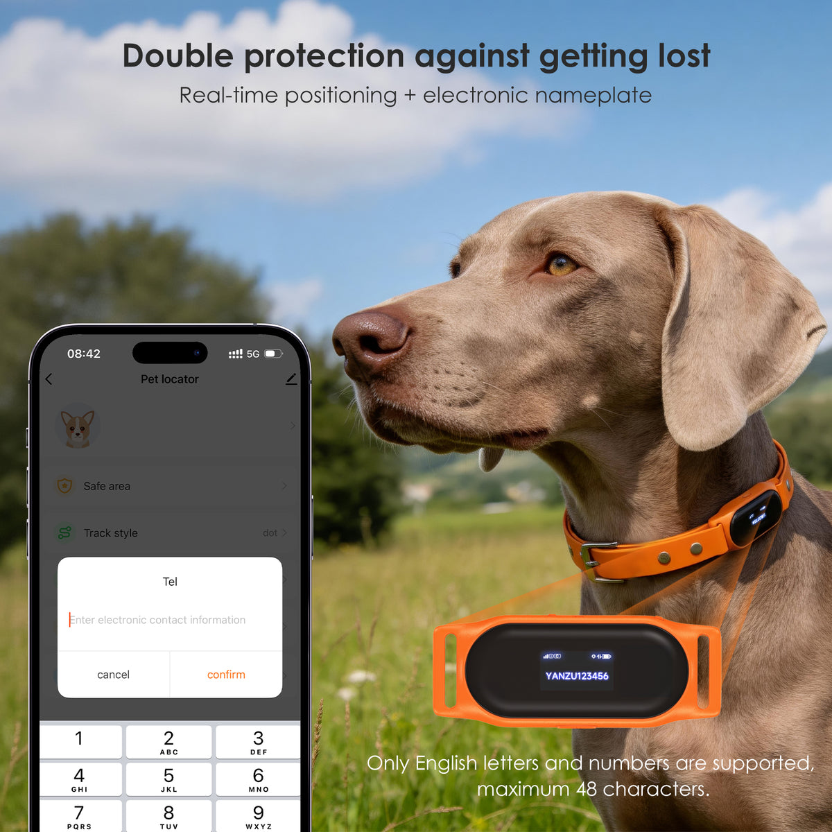 Ywinspire GPS Wi-Fi LBS pet positioning tracker