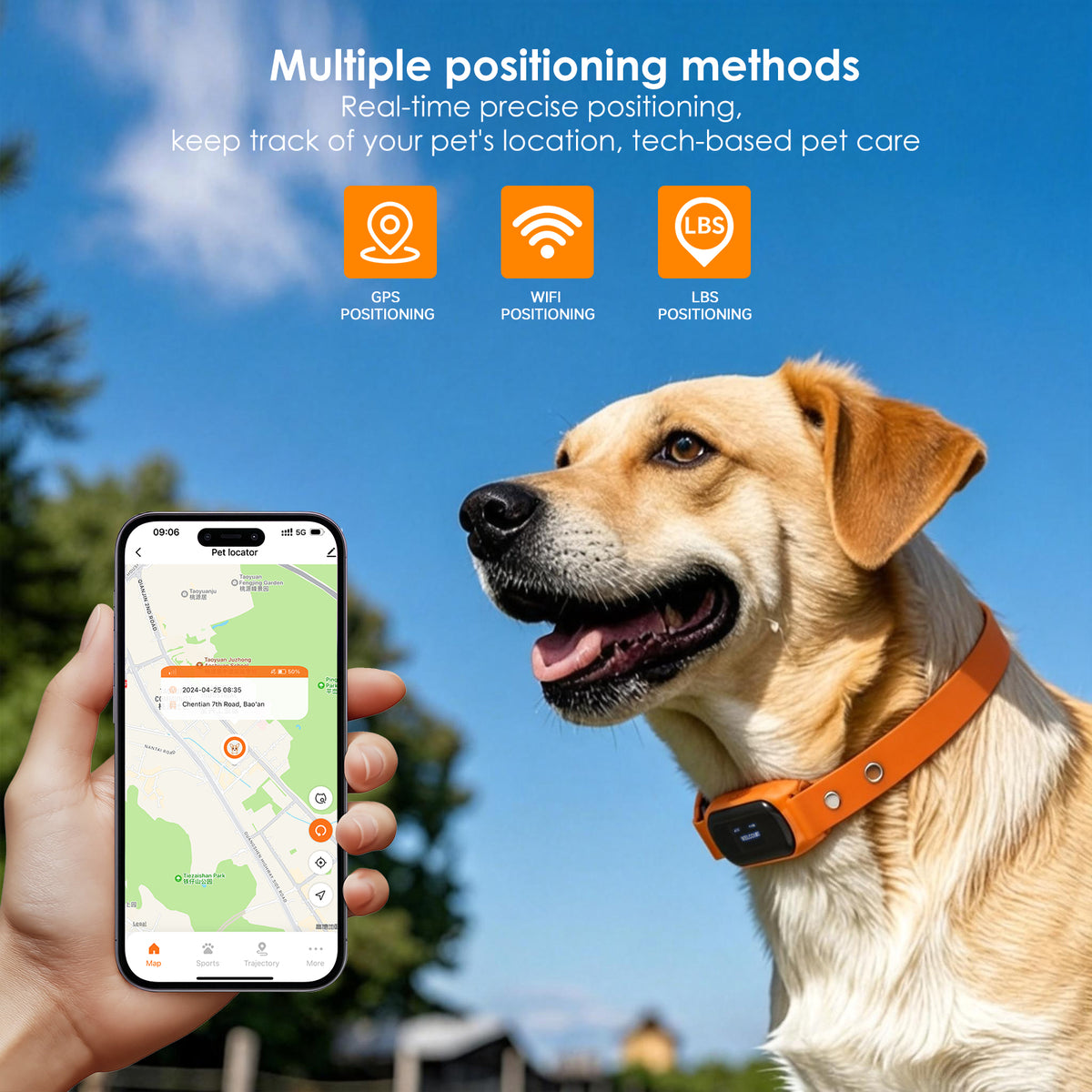 Ywinspire pet tracker app activity and sleep insights